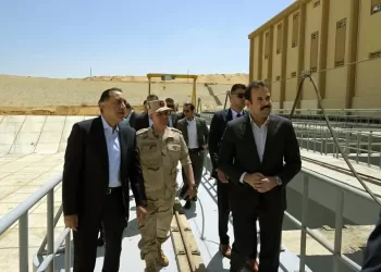 ‘Future of Egypt projects help provide high-quality agricultural products at reasonable prices’