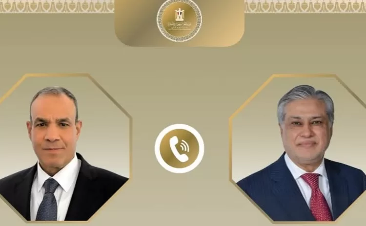 Egypt FM holds phone call with Pakistani deputy PM 1 - Egyptian Gazette