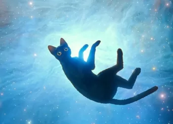 Flow offers an emotional, dialogue-free look at post-human world