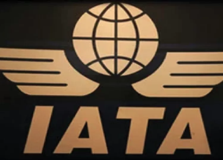 IATA launches new body to manage fuel registry 1 - Egyptian Gazette