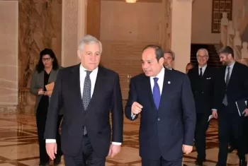  Sisi, Italian FM discuss bilateral ties, regional developments