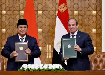 Egypt, Indonesia launch strategic partnership to boost trade, investment, and security
