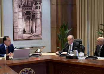 Egypt sets stage for Automotive leap 10 - Egyptian Gazette Egypt sets stage for Automotive leap