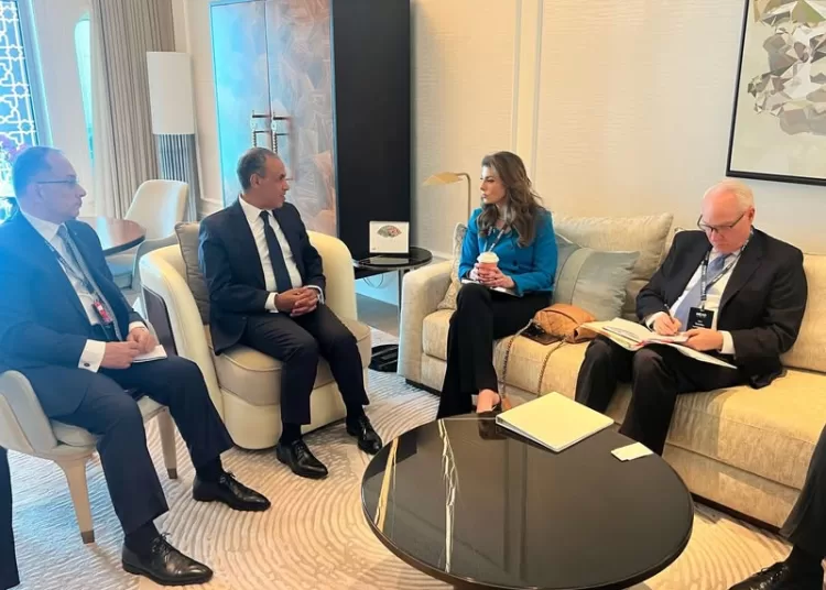 FM urges restoring calmness, consolidating Gaza ceasefire 1 - Egyptian Gazette