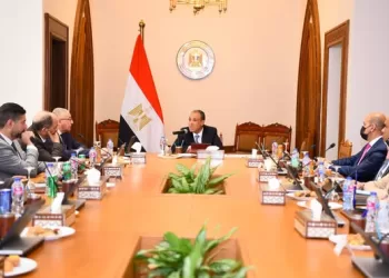 FM affirms importance of preserving edifice of Egyptian embassies, consulates