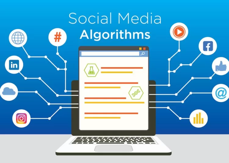 social media algorithm
