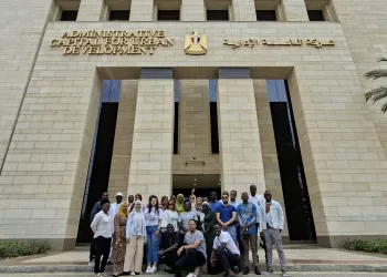 Egypt in the eyes of Africa: A nation forging a modern identity 