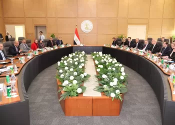 Egypt, Sweden review co-operation in renewable energy domain