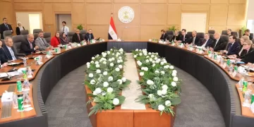 Egypt, Sweden review co-operation in renewable energy domain