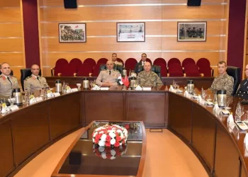 Egypt,Turkey explore expanded military co-operation