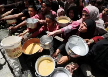 Gaza still waiting for aid as pressure mounts on Israel