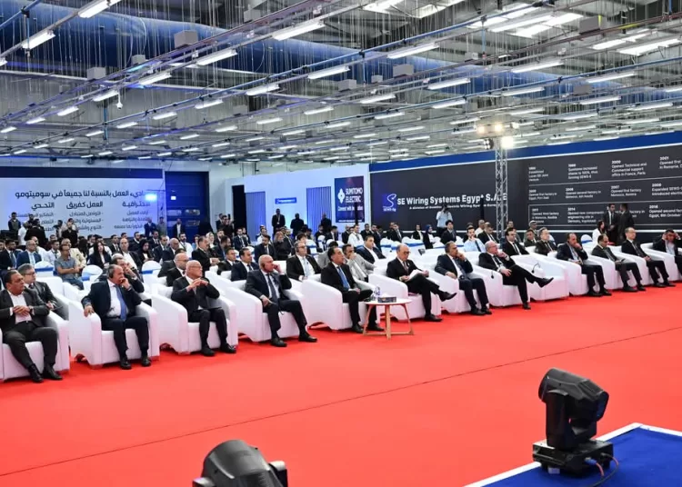 PM: SE Wiring Systems Egypt giant edifice 1 - Egyptian Gazette