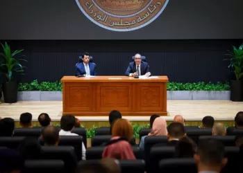 FM reaffirms Egypt’s commitment to supporting peace, stability worldwide