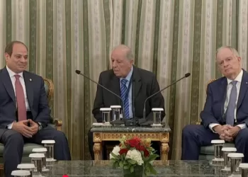 Sisi, Tasoulas discuss developments in Gaza, Syria, Libya, Yemen