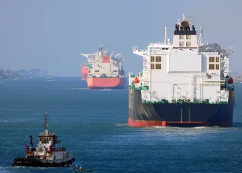 FM: Stable Red Sea, Suez Canal key to world economy