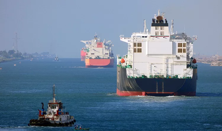 FM: Stable Red Sea, Suez Canal key to world economy 1 - Egyptian Gazette