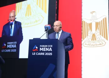 ‘Egyptian-French relations boosted beyond political co-operation’