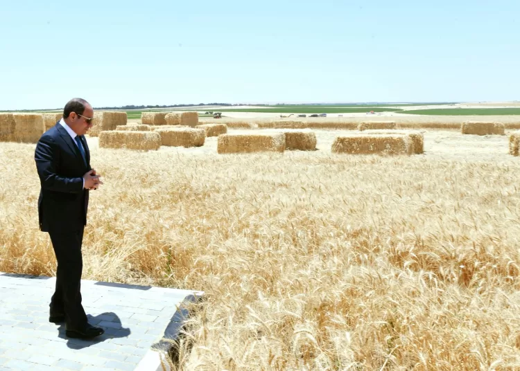 Egypt's green revolution: 1 - Egyptian Gazette