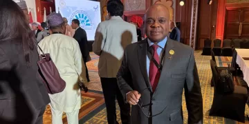 ‘Cairo Declaration’ unites D-8 members on tourism goals