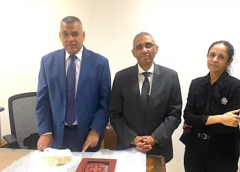 Egypt recovers 21 stolen artifacts from Australia  5 - Egyptian Gazette