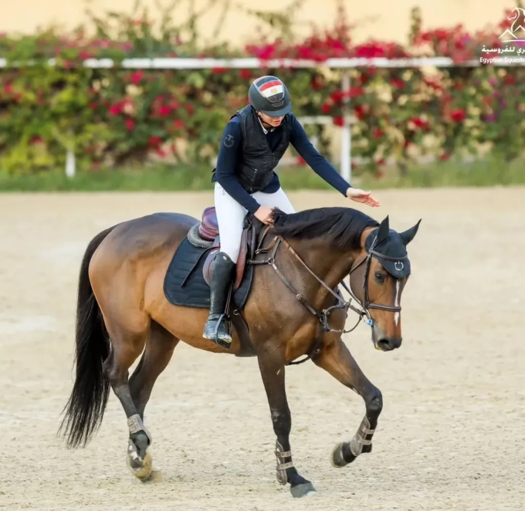 World Military Equestrian Championship: A triumph for Egypt and Kian city 7 - Egyptian Gazette