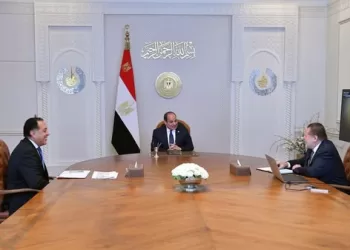 Sisi directs gov. to provide suitable conditions to attract more foreign investments