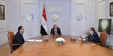 Sisi directs gov. to provide suitable conditions to attract more foreign investments