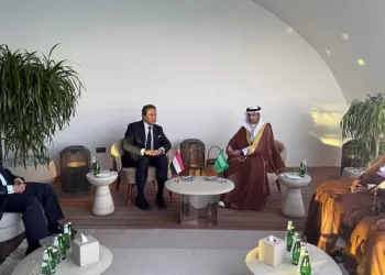 Egypt, Saudi Arabia discuss health coop.