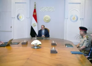 Sisi pushes for broader reach of “Digilians” tech initiative
