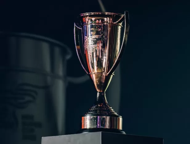 Egyptian Super Cup takes shape 17 - Egyptian Gazette