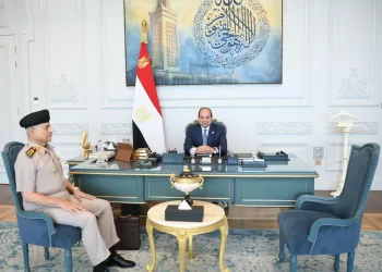 Sisi receives defense minister