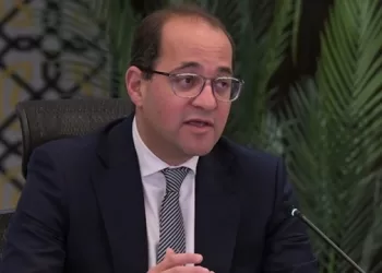 Kouchouk named African finance minister