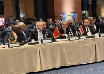 Abdelatty attends Arab Ministerial Meeting amid Gaza, Iran tensions