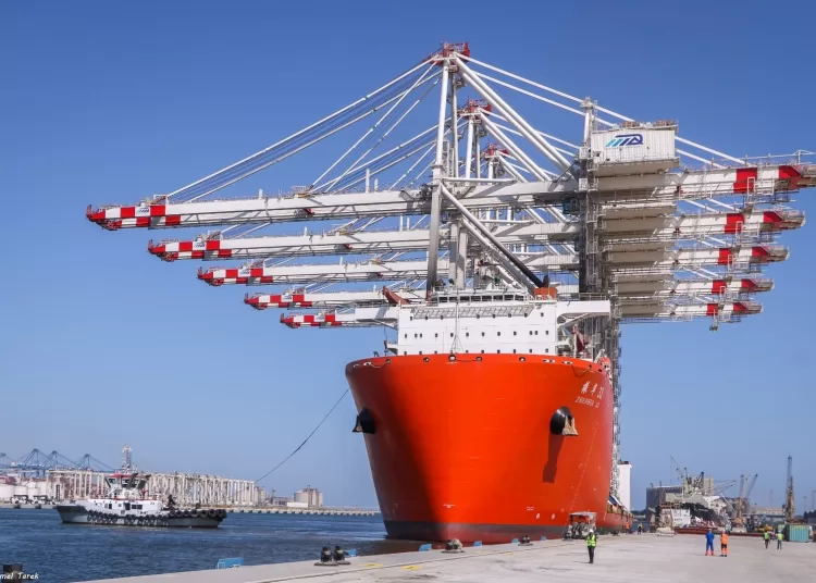 Damietta Port boosts capacity with new giant cranes 1 - Egyptian Gazette