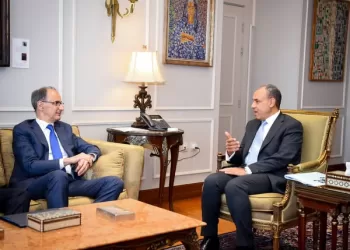 FM praises development of Egyptian-Serbian relations over past years