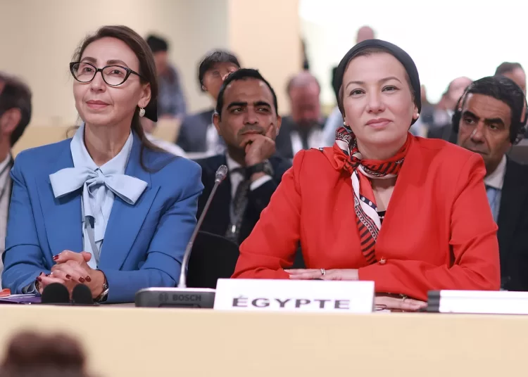 Environment minister joins global leaders at UN Ocean Conference 1 - Egyptian Gazette