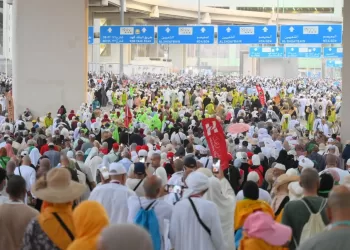 First groups of NGO Hajj pilgrims heading home