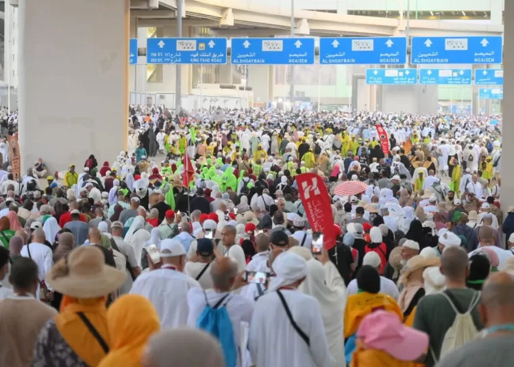 First groups of NGO Hajj pilgrims heading home 1 - Egyptian Gazette