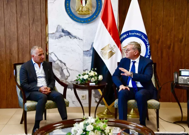 Egypt, Elsewedy electric target growth in mining, energy 2 - Egyptian Gazette Egypt, Elsewedy electric target growth in mining, energy 1 - Egyptian Gazette