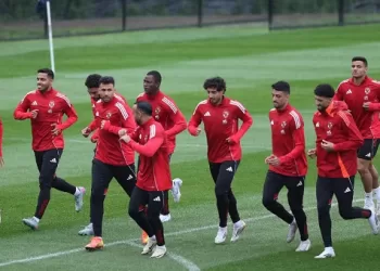 FIFA Club World Cup: Al-Ahly gears up for Palmeiras tie