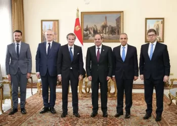 Sisi calls for WMD-free Middle East with IAEA chief