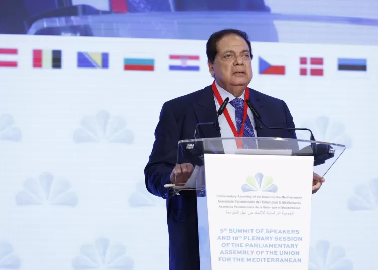 Mohamed Abou El-Enein, Deputy Speaker of the Egyptian House of Representatives