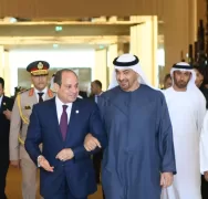 Sisi, UAE President emphasise immediate Gaza ceasefire