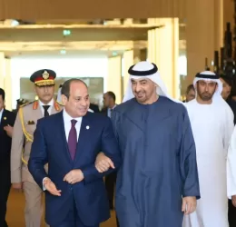 Sisi, UAE President emphasise immediate Gaza ceasefire