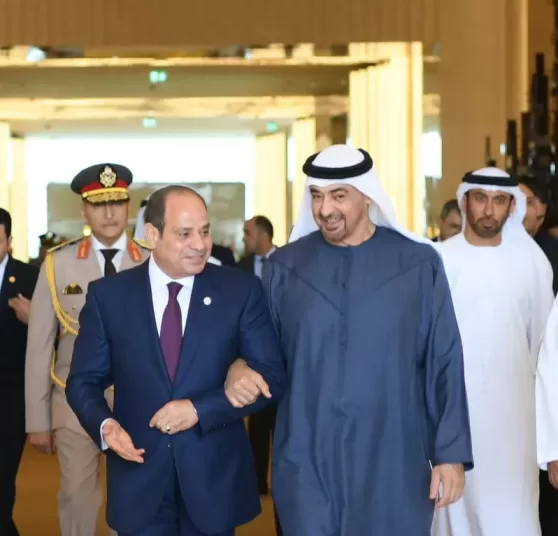 Sisi, UAE President emphasise immediate Gaza ceasefire 1 - Egyptian Gazette