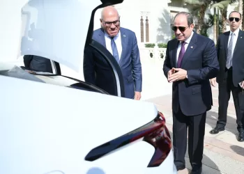 Sisi urges more private partnerships to boost local industry