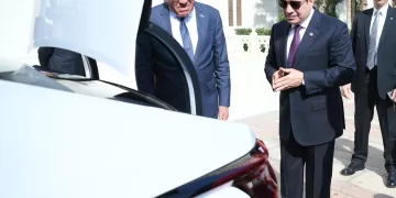 Sisi urges more private partnerships to boost local industry