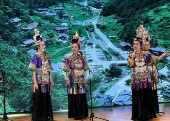 Egyptian, Chinese music shine at NMEC concert