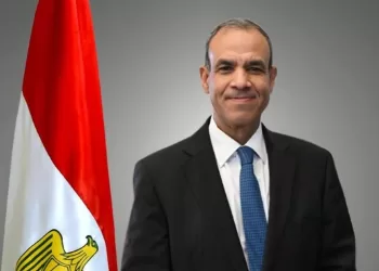 Egyptian gov’t keen on providing full support for citizens abroad