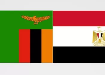 Egypt, Zambia probe fostering cooperation in health